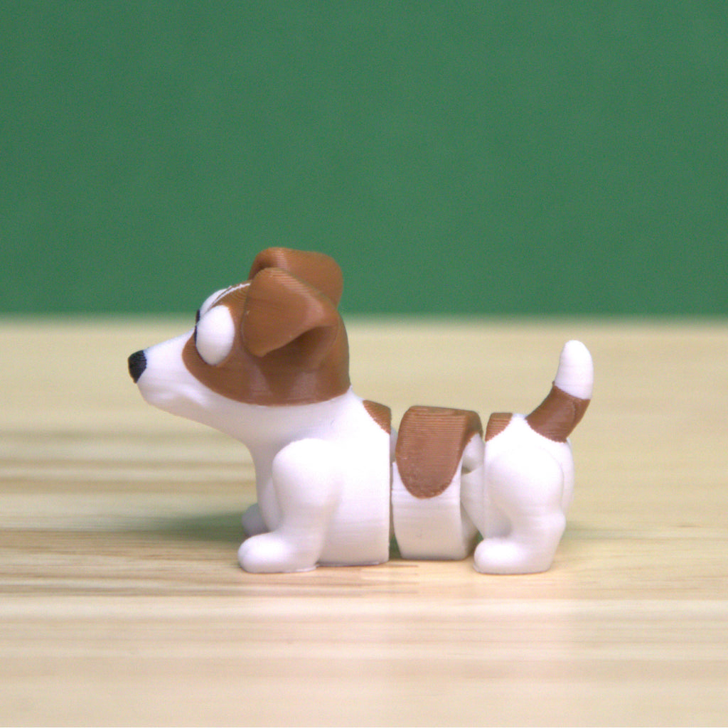 Jack Russell Terrier