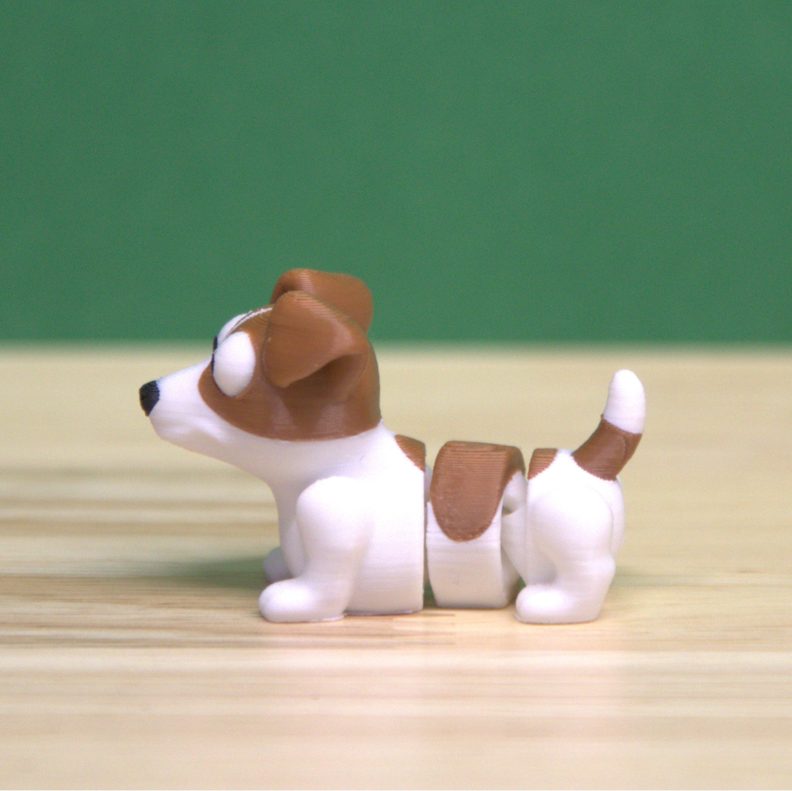 Jack Russell Terrier