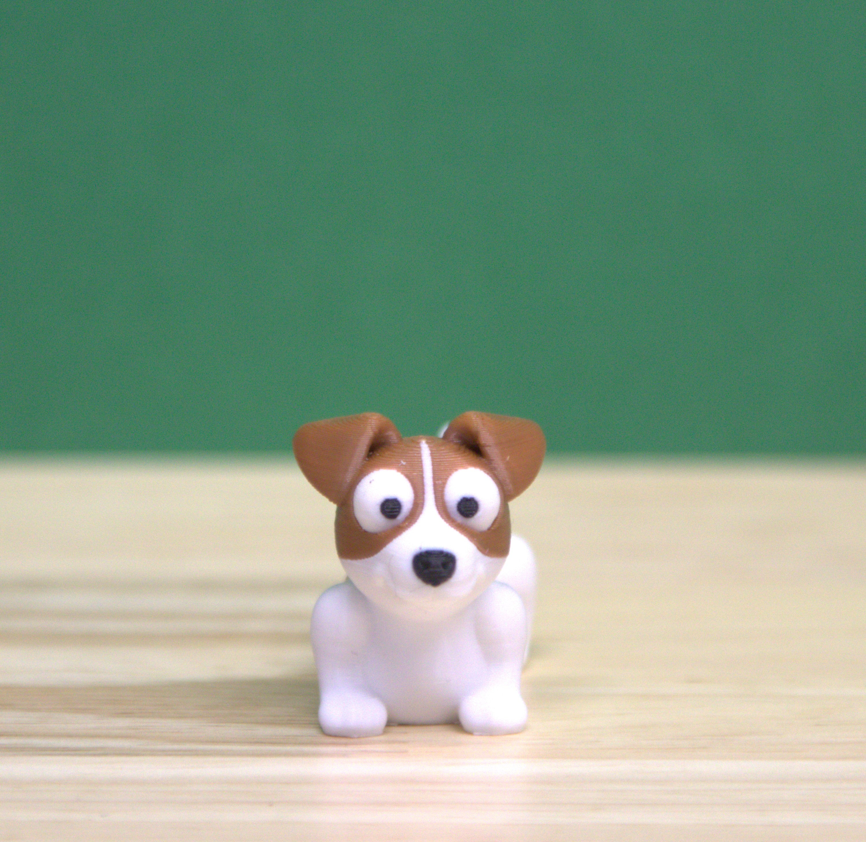 Jack Russell Terrier