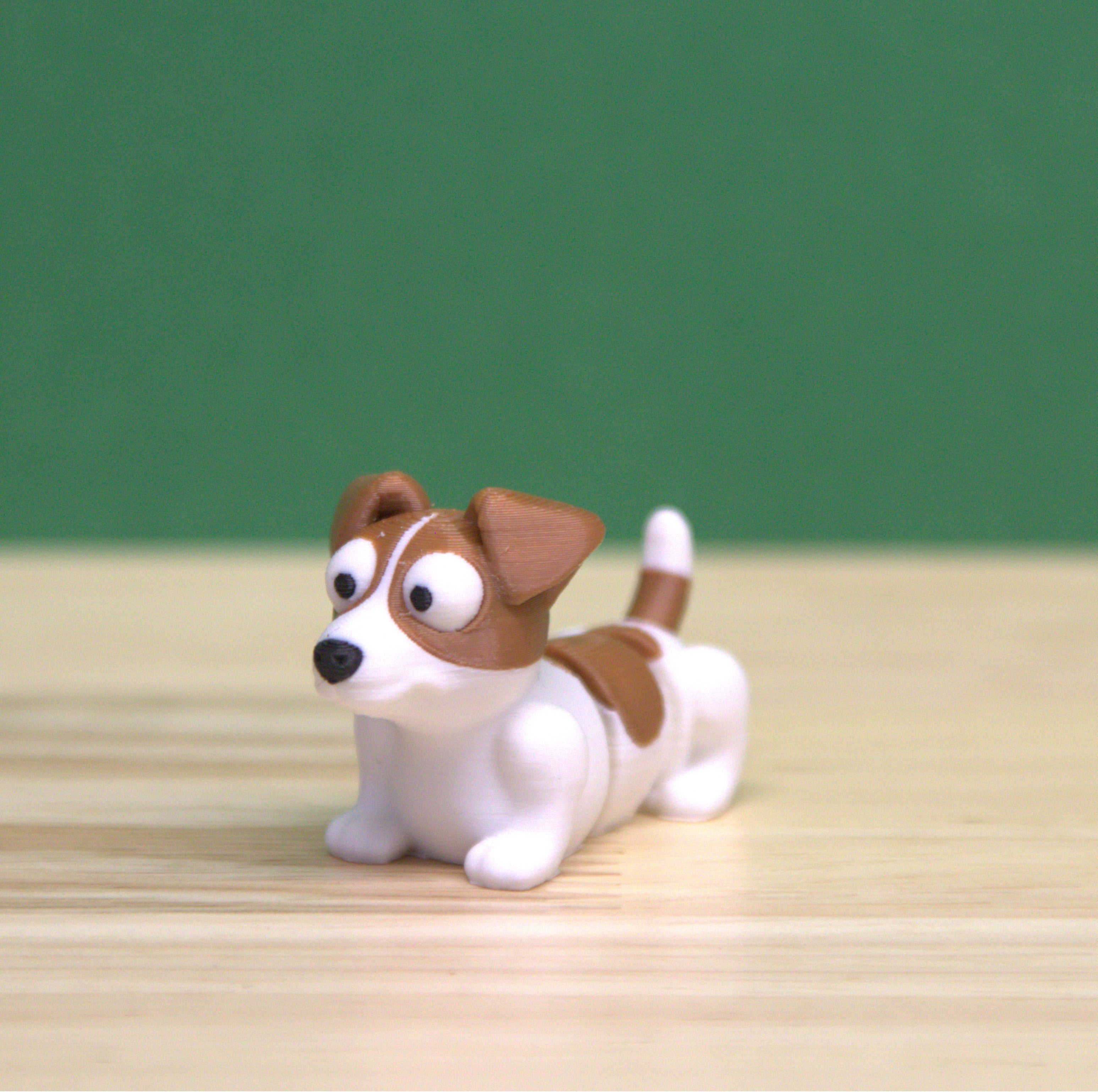 Jack Russell Terrier
