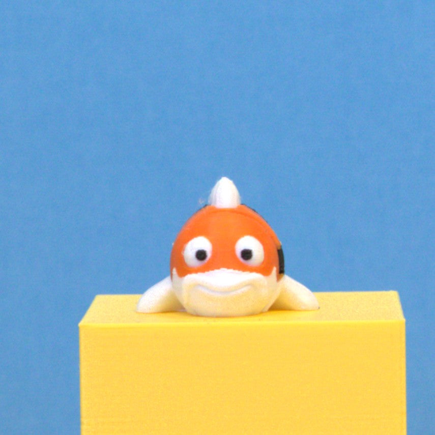 Koi