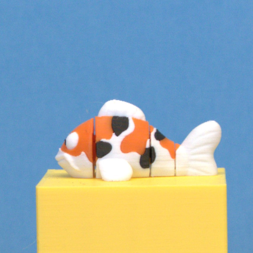 Koi