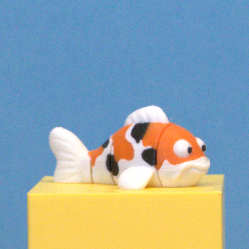 Koi