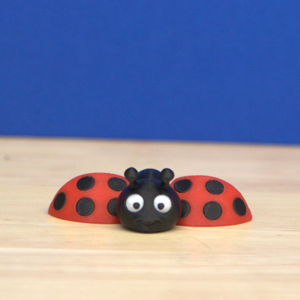 Lady Bug