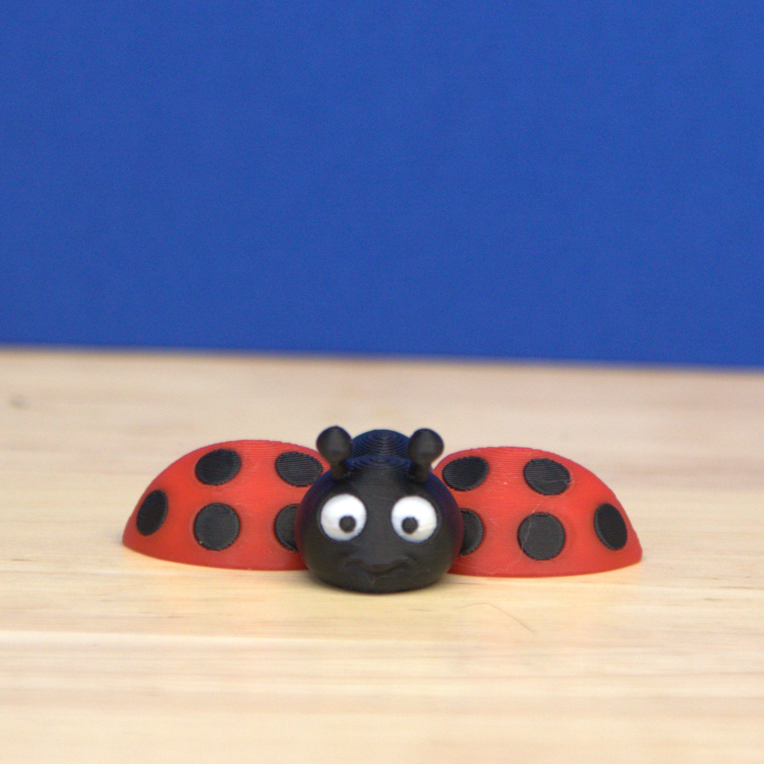 Lady Bug
