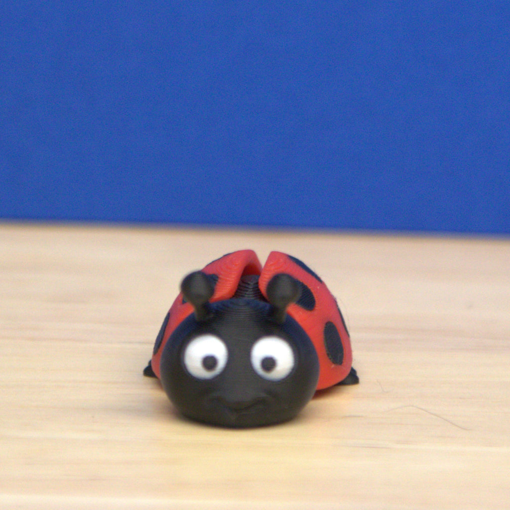 Lady Bug