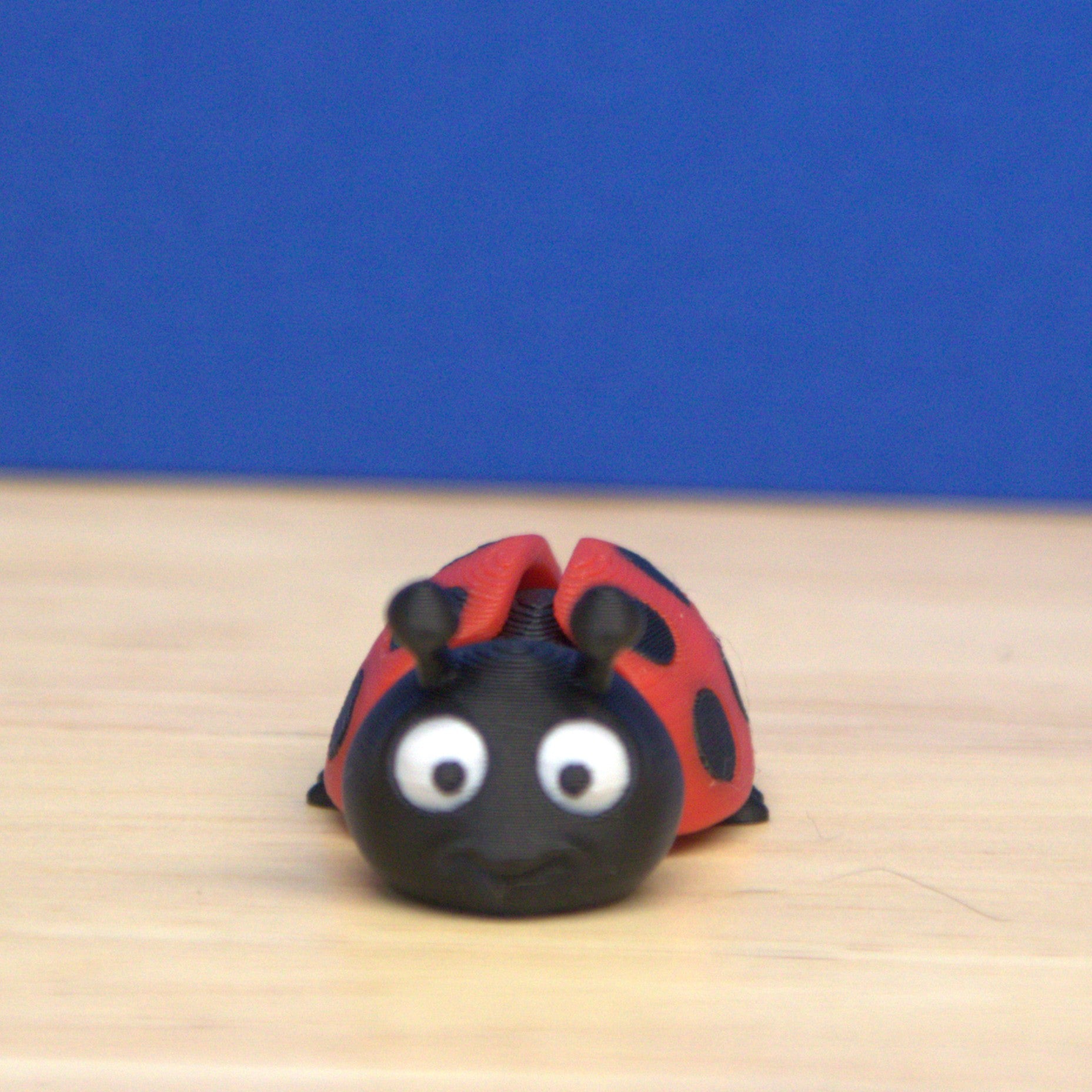 Lady Bug