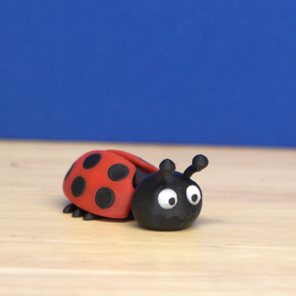 Lady Bug