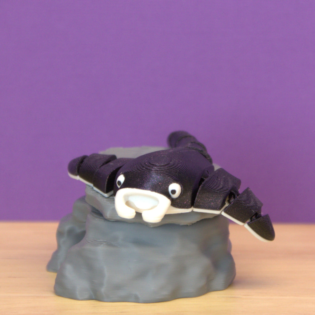 Manta Ray
