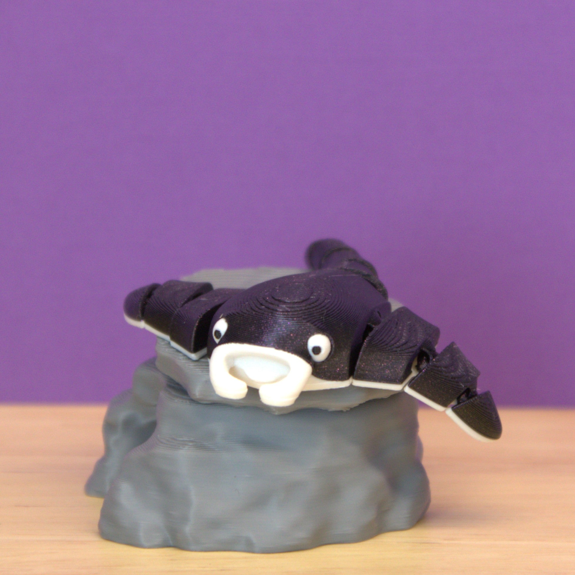 Manta Ray