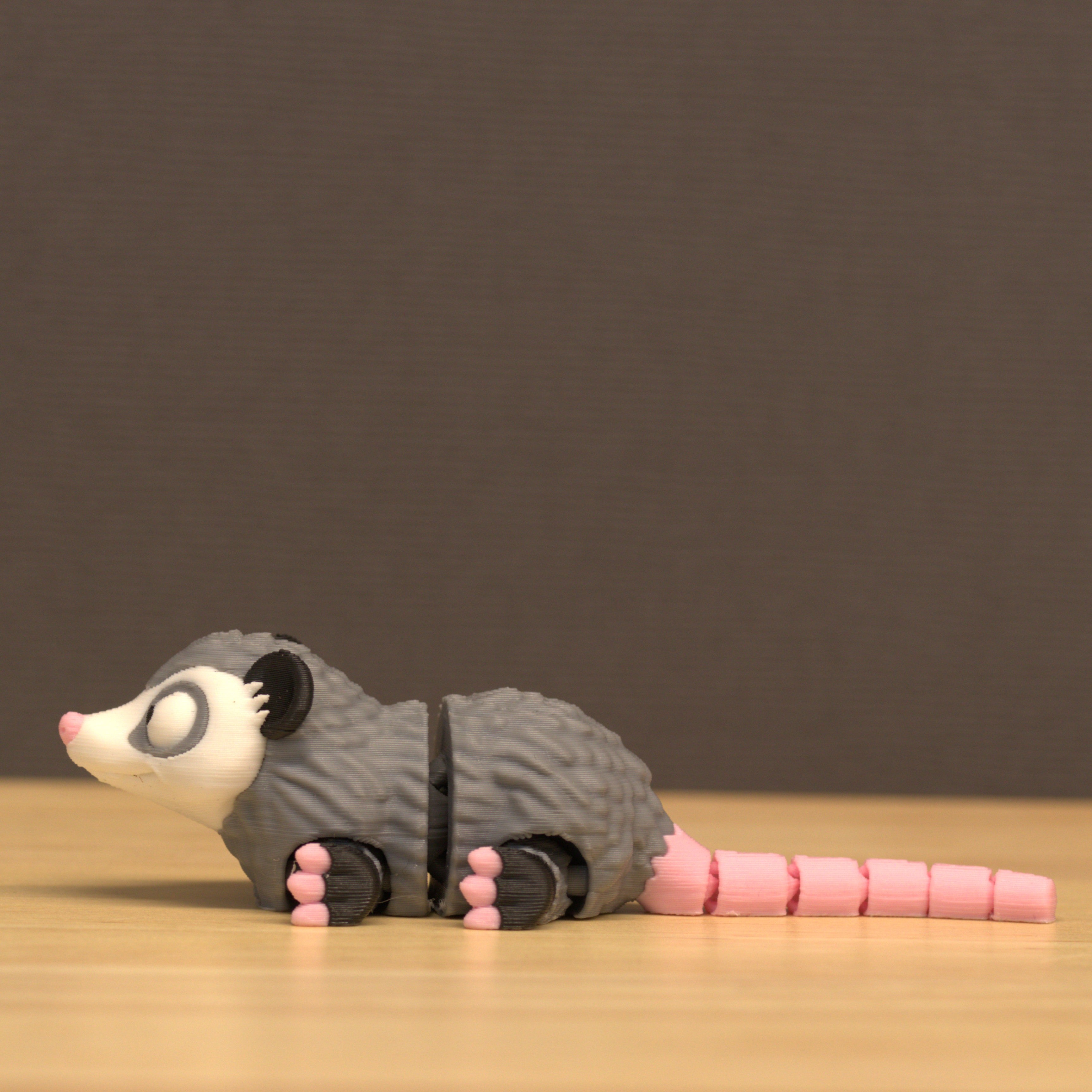 Opossum
