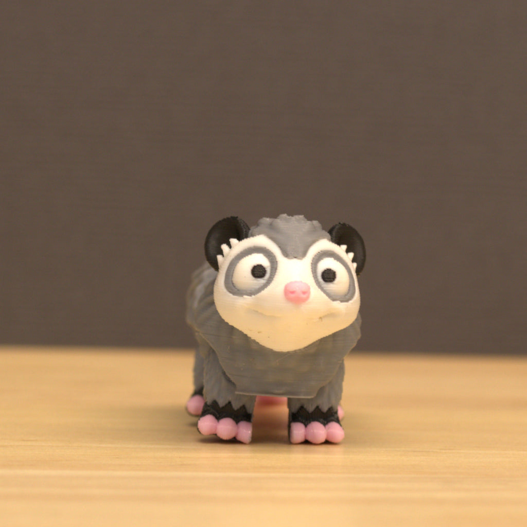 Opossum