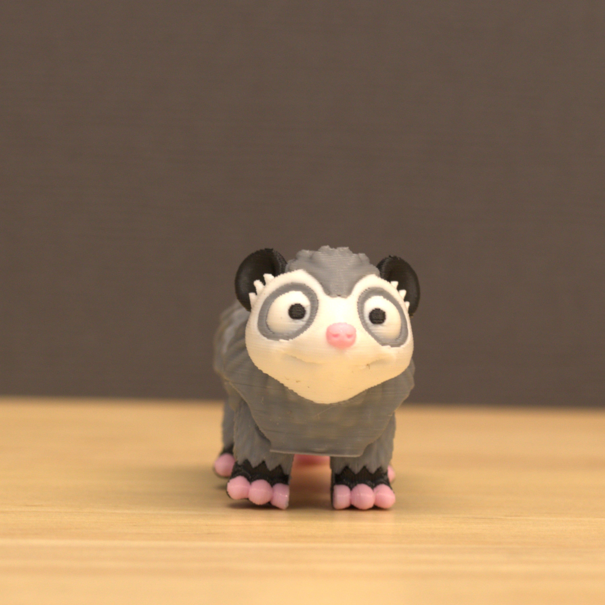 Opossum