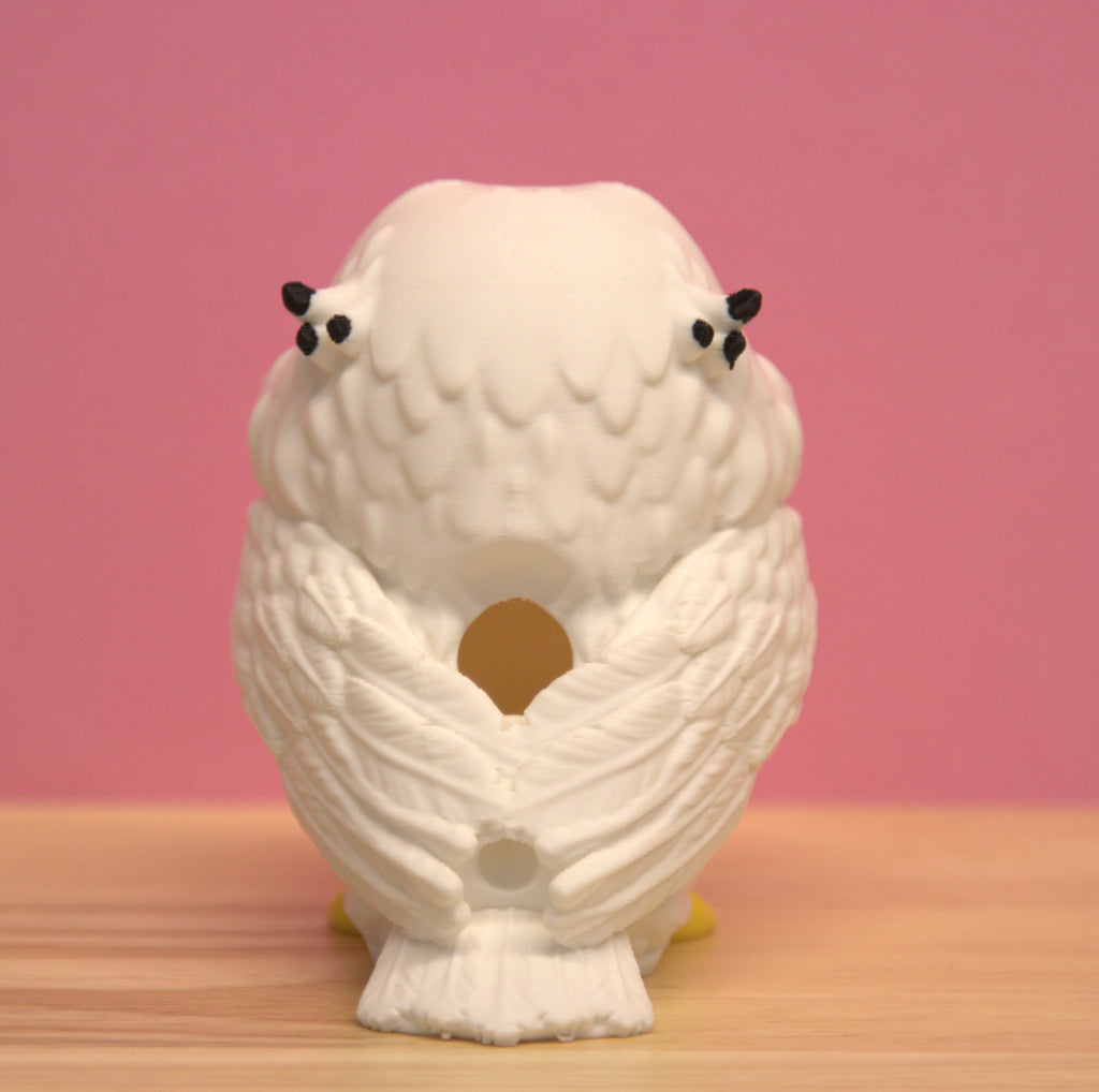 Hooting Owl