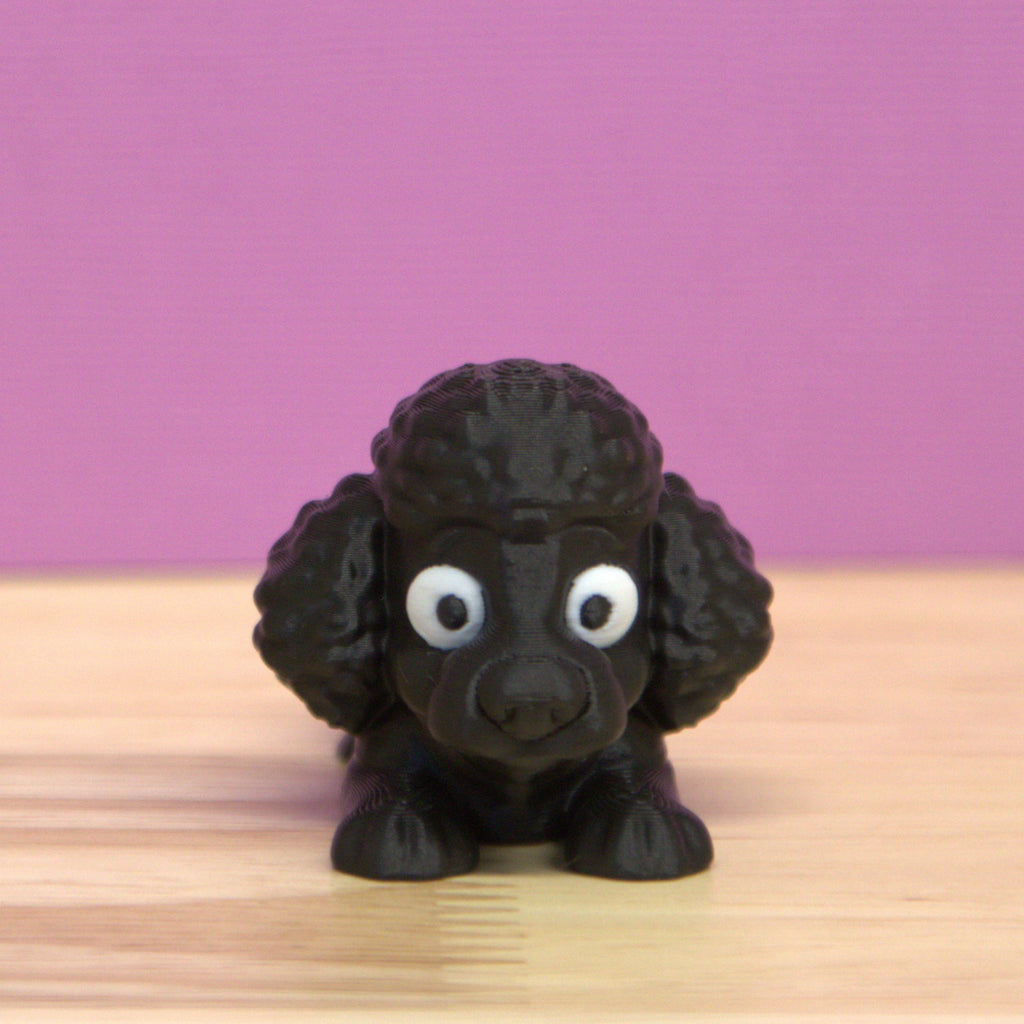Poodle