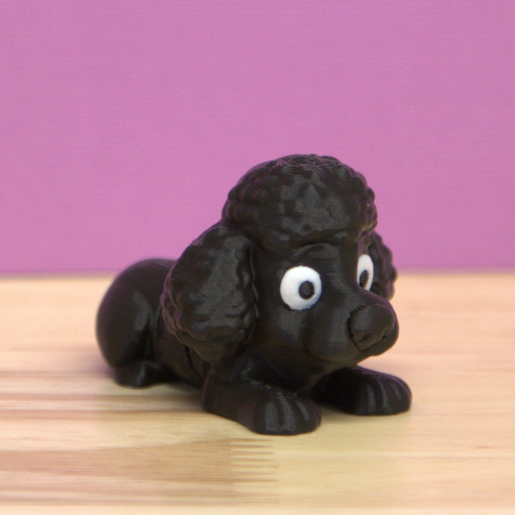 Poodle