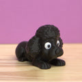 Poodle