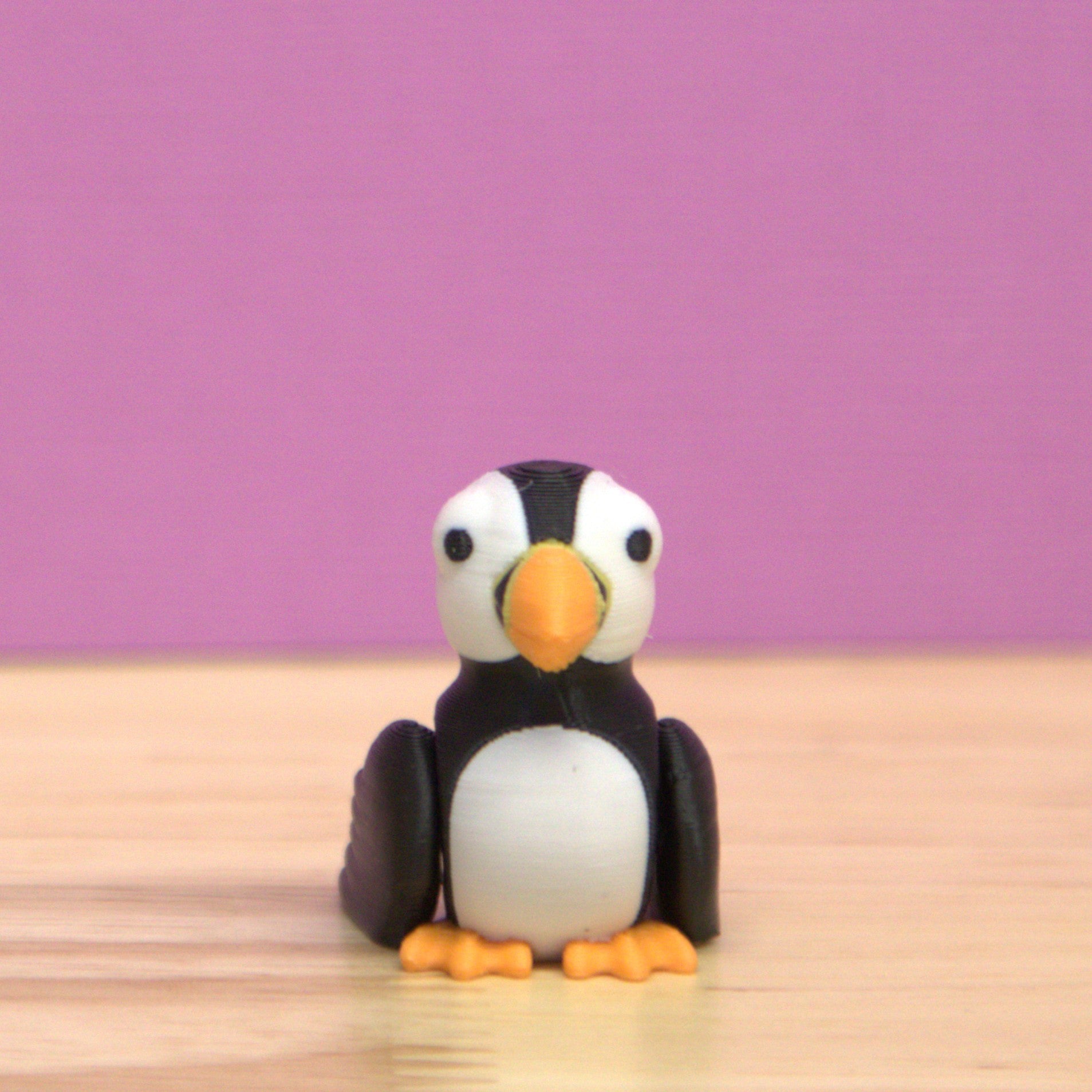 Puffin