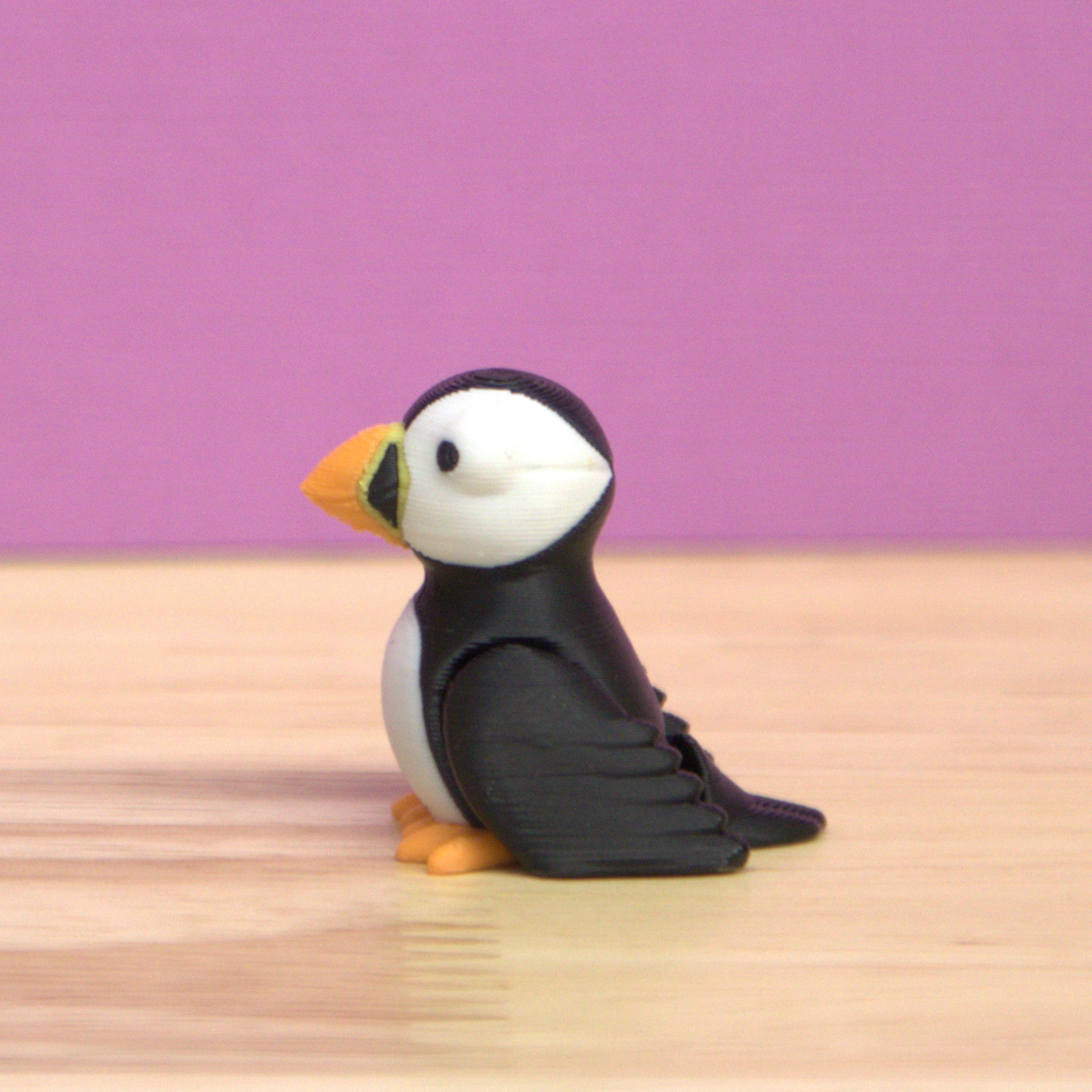 Puffin