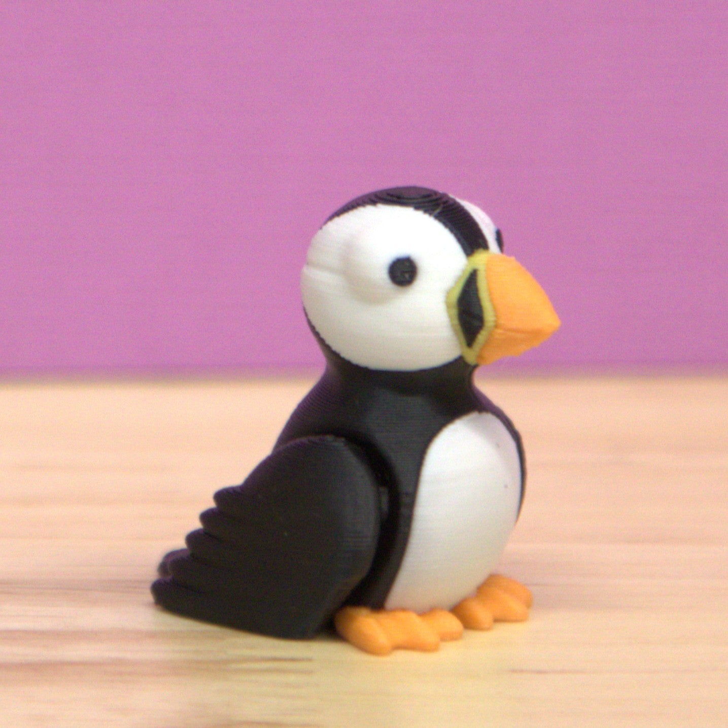 Puffin