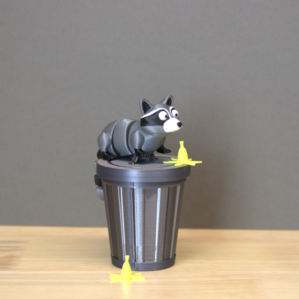 Racccoon Set