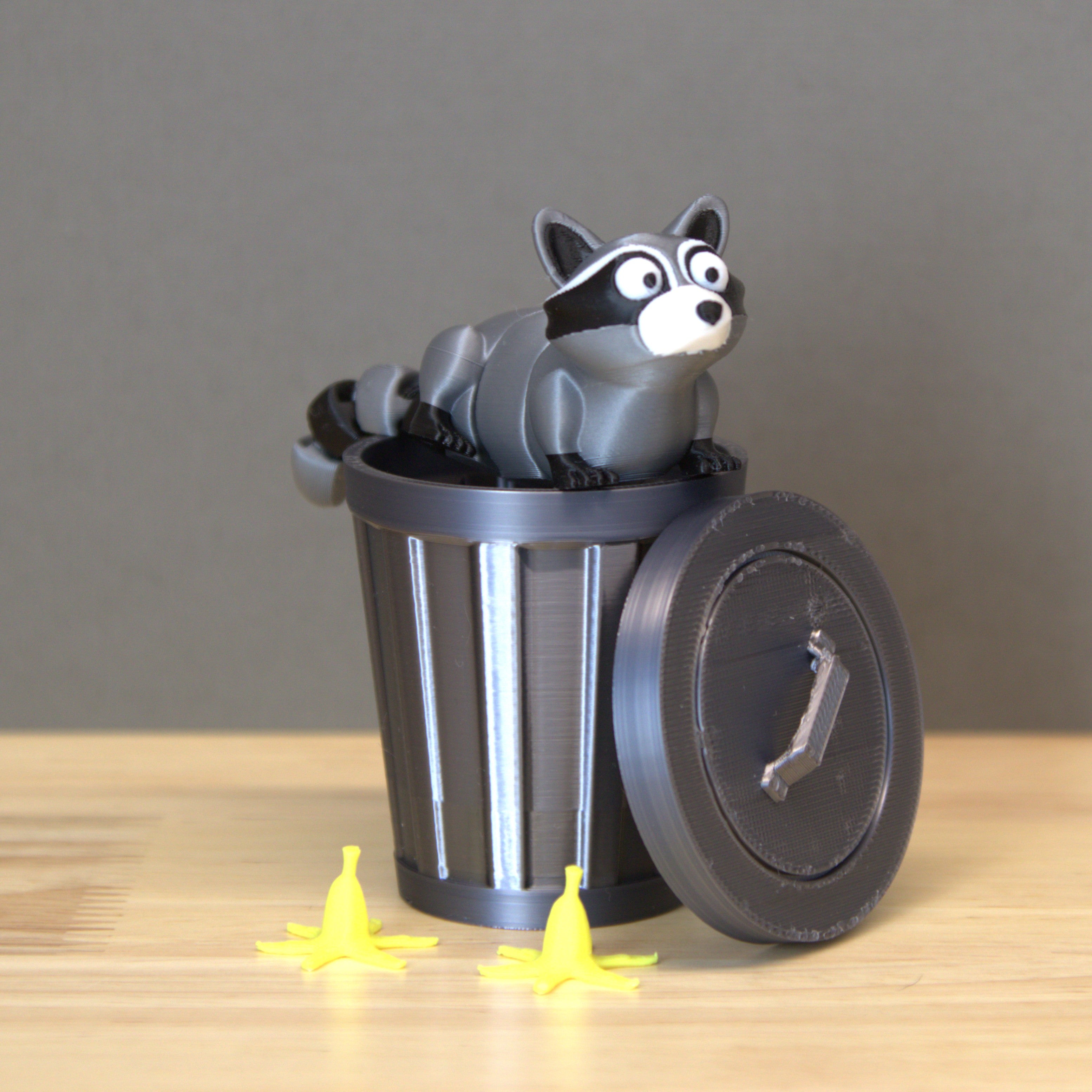 Racccoon Set