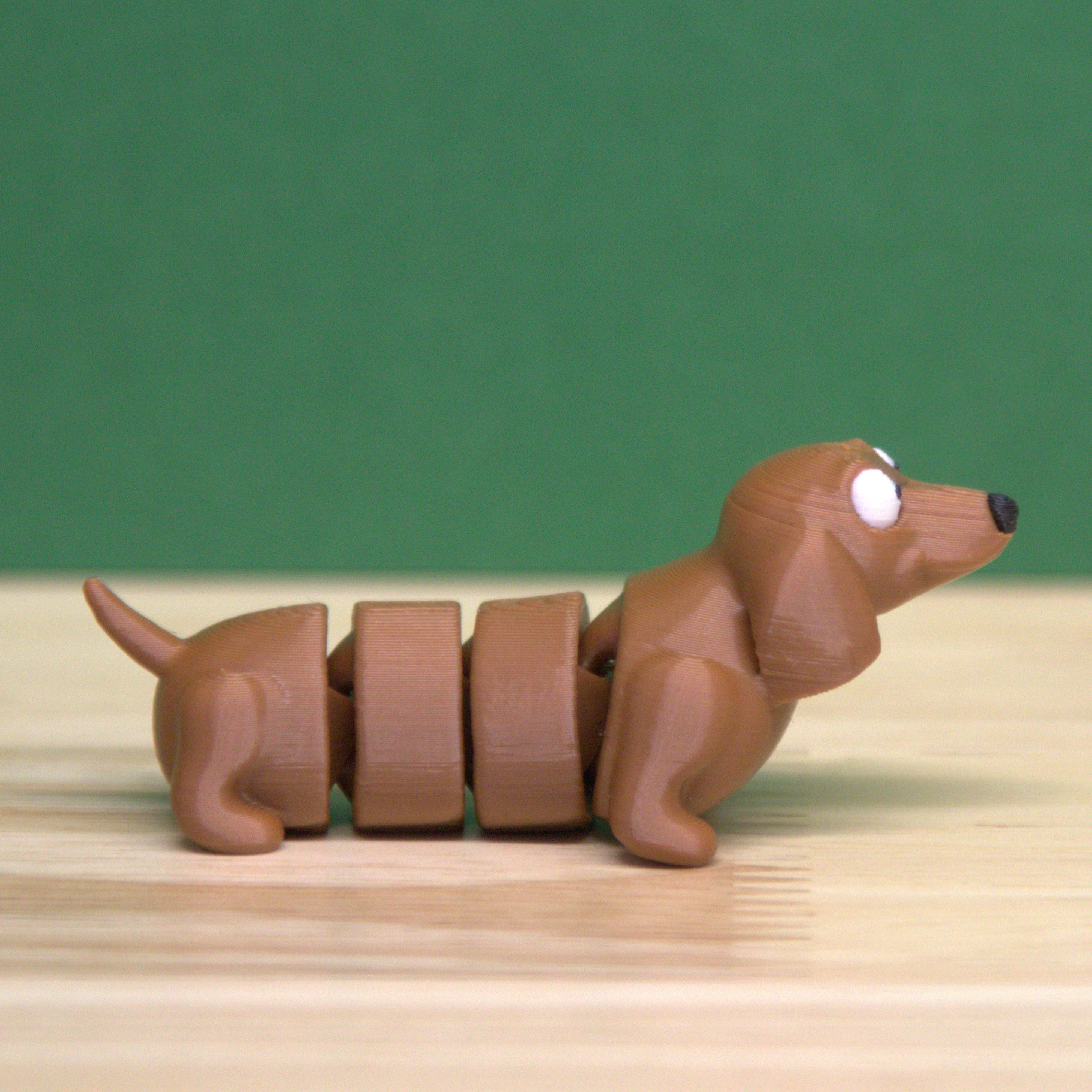 Dachshund