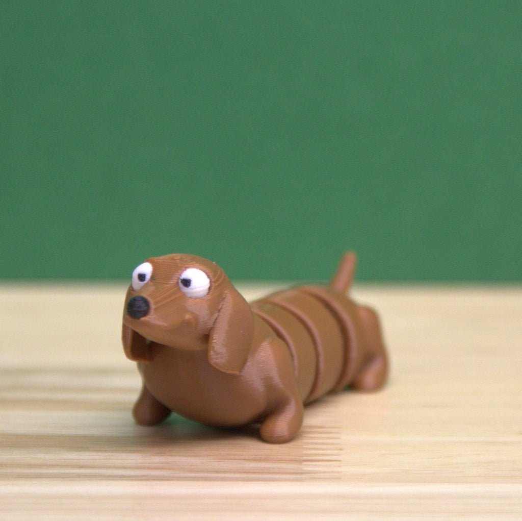 Dachshund