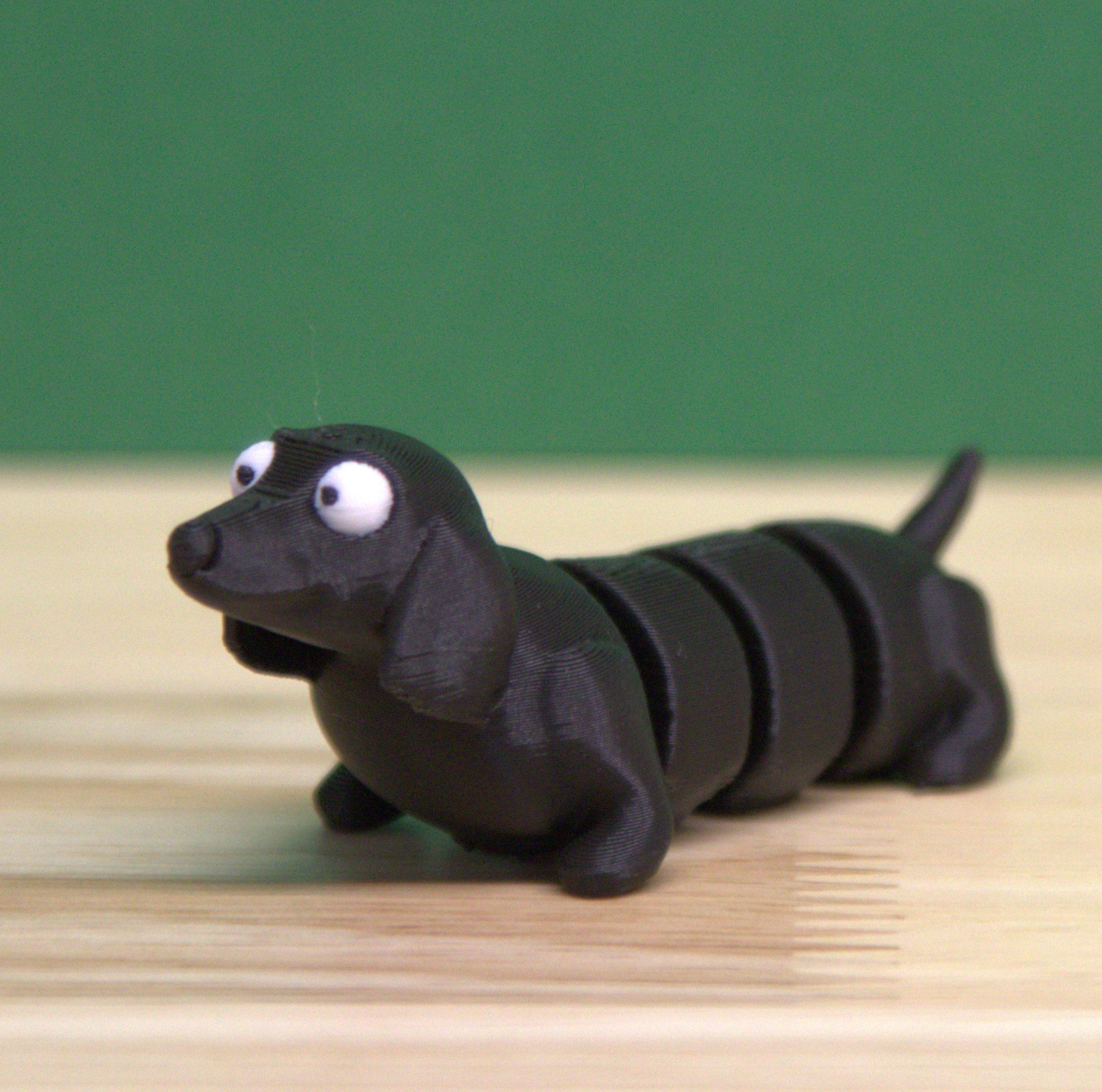 Dachshund