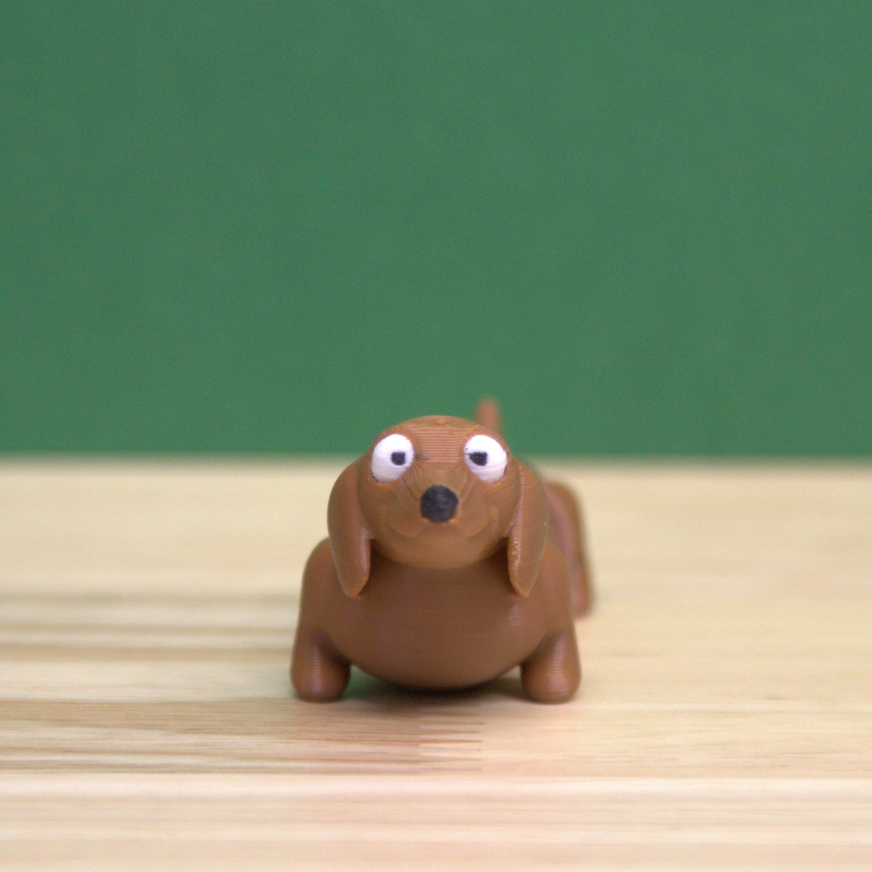 Dachshund