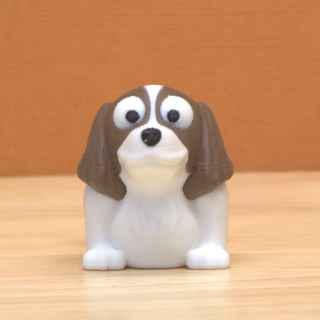 Springer Spaniel
