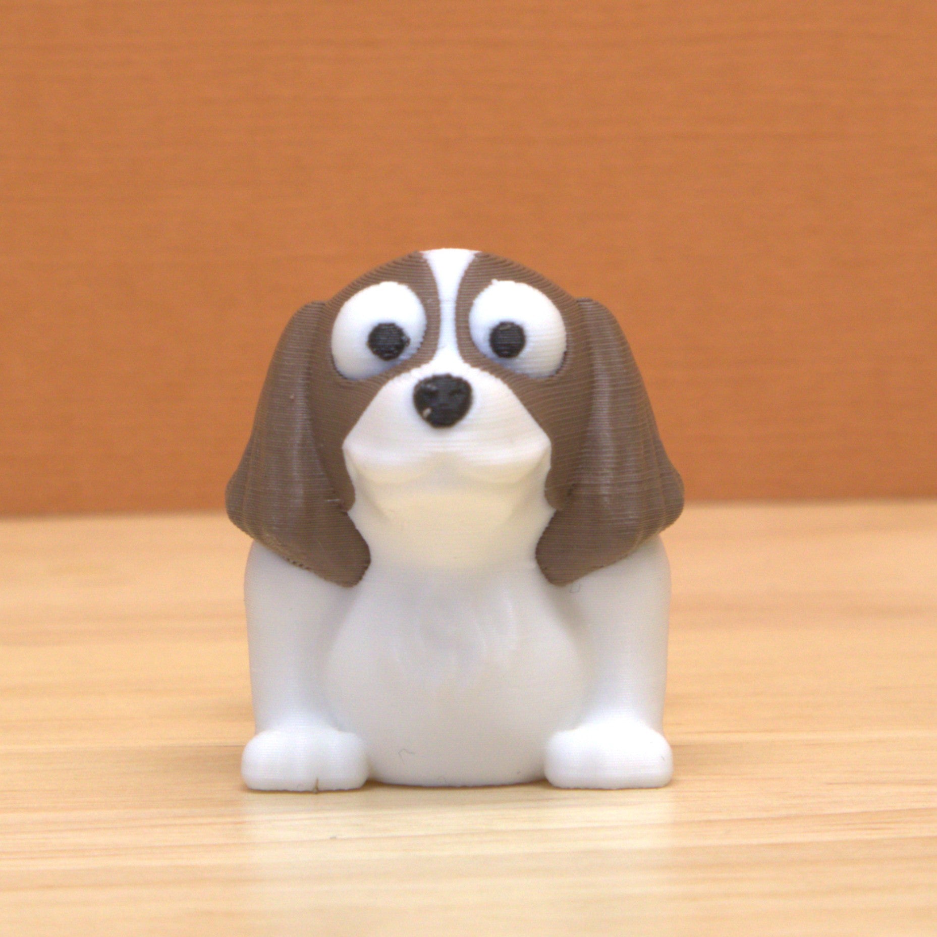 Springer Spaniel