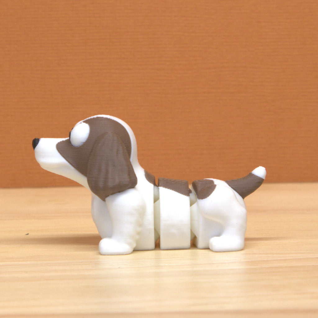 Springer Spaniel