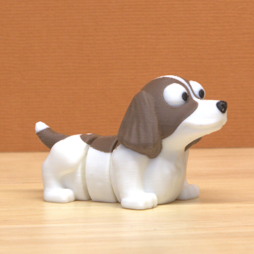 Springer Spaniel