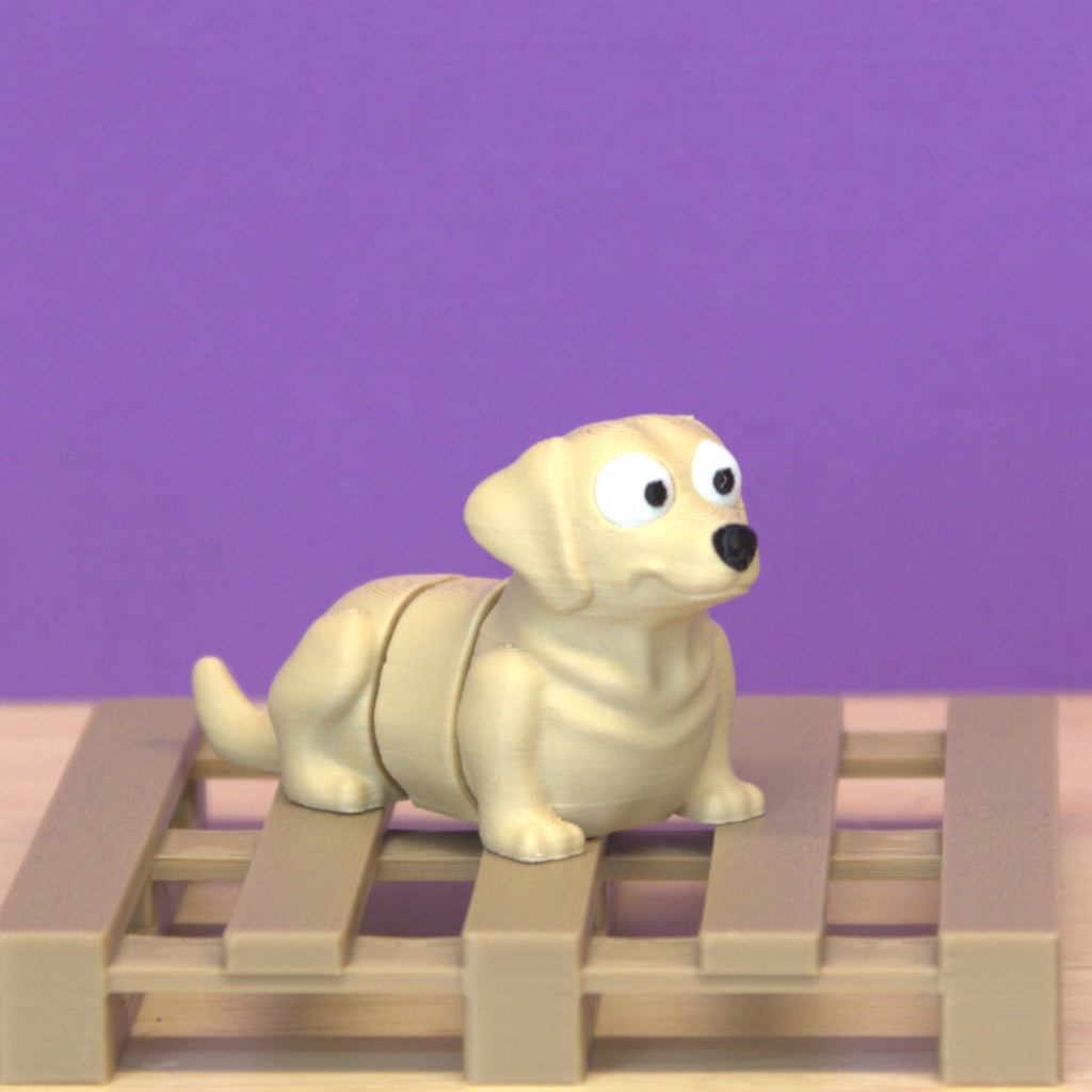 Labrador