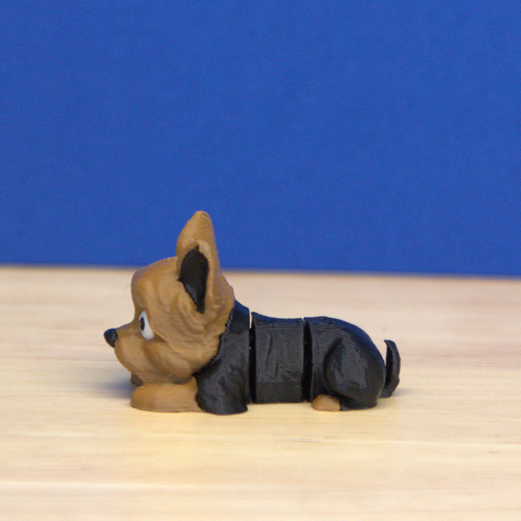 Yorkshire Terrier