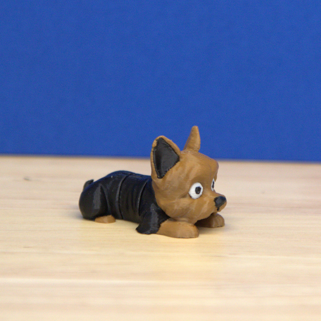 Yorkshire Terrier