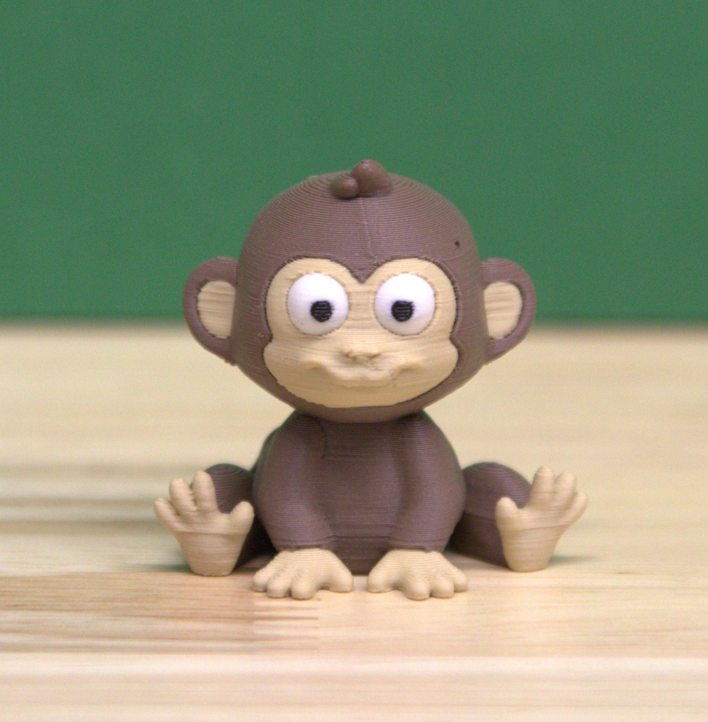 Baby Monkey