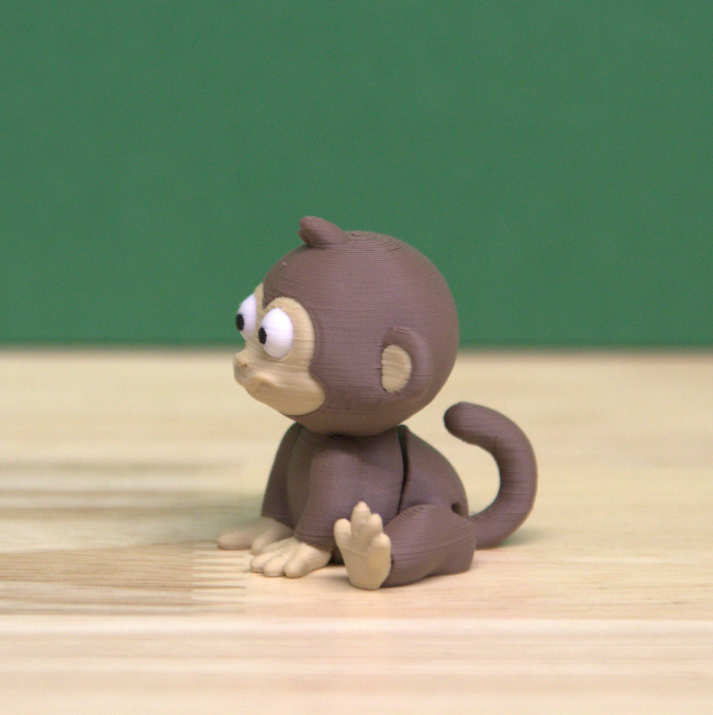 Baby Monkey