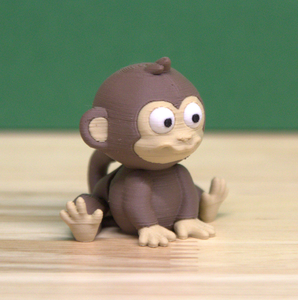Baby Monkey