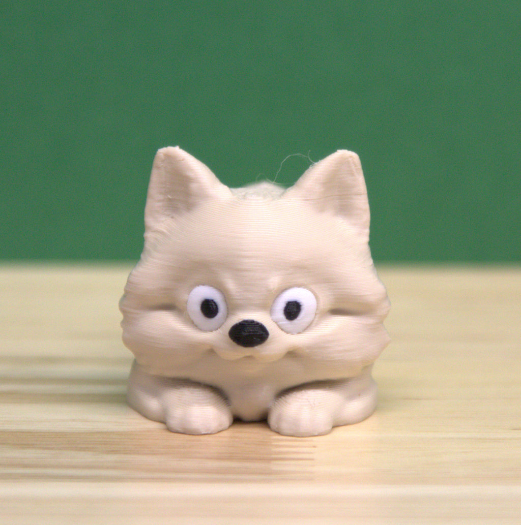 Pomeranian