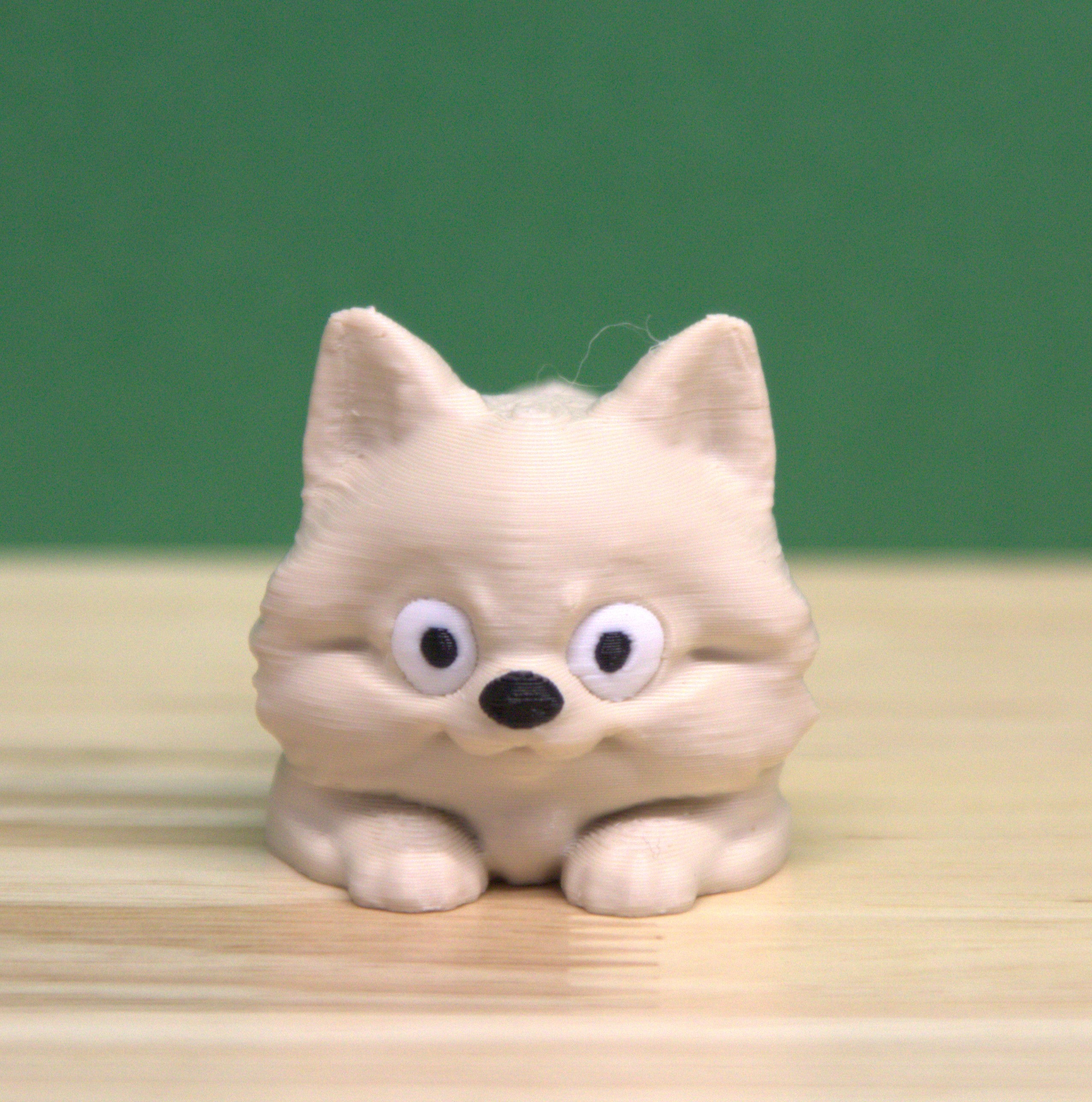 Pomeranian