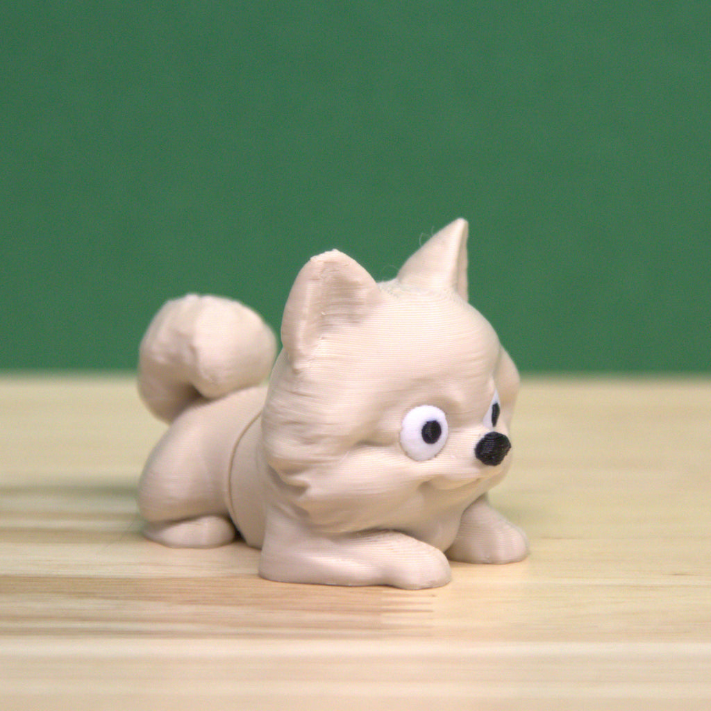 Pomeranian