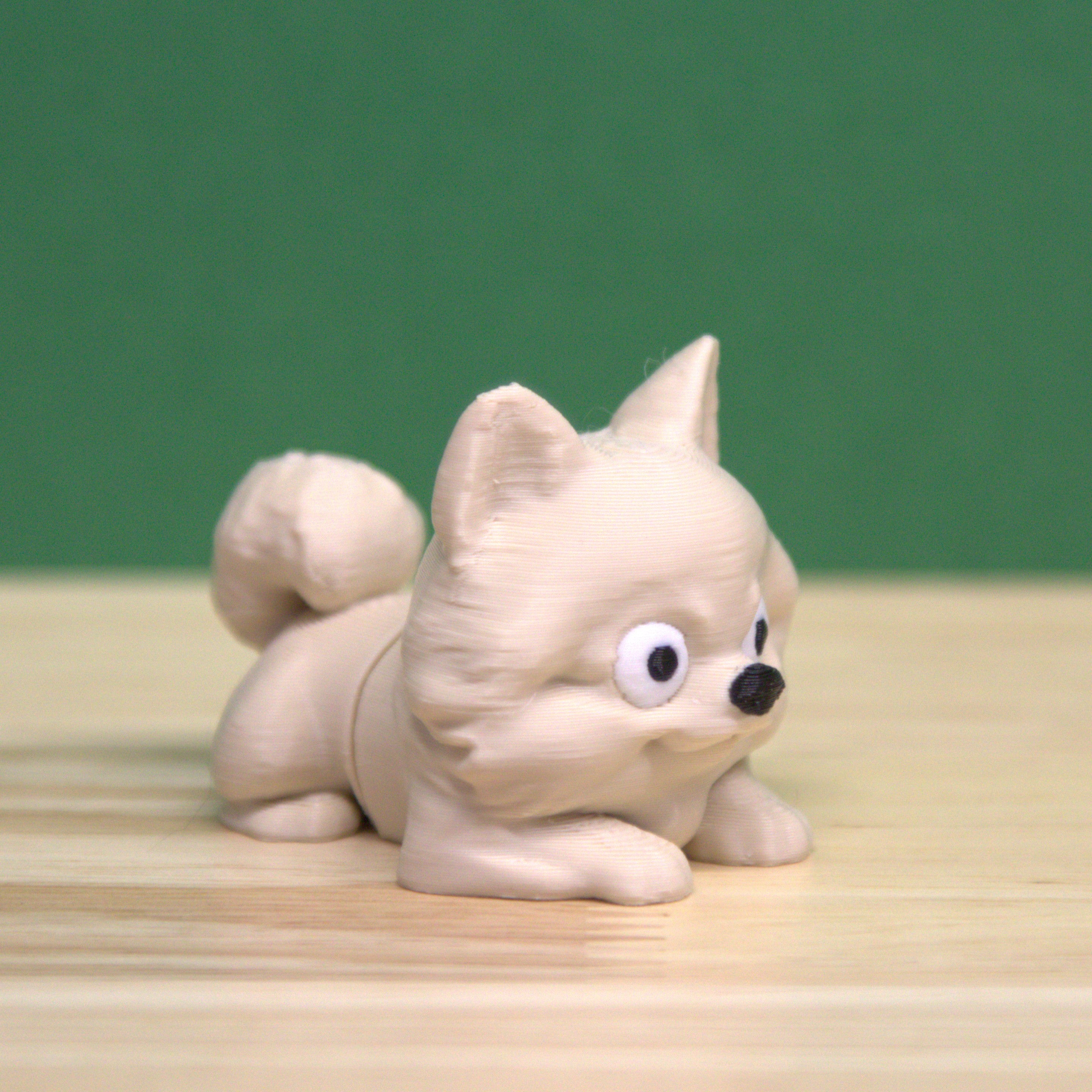 Pomeranian