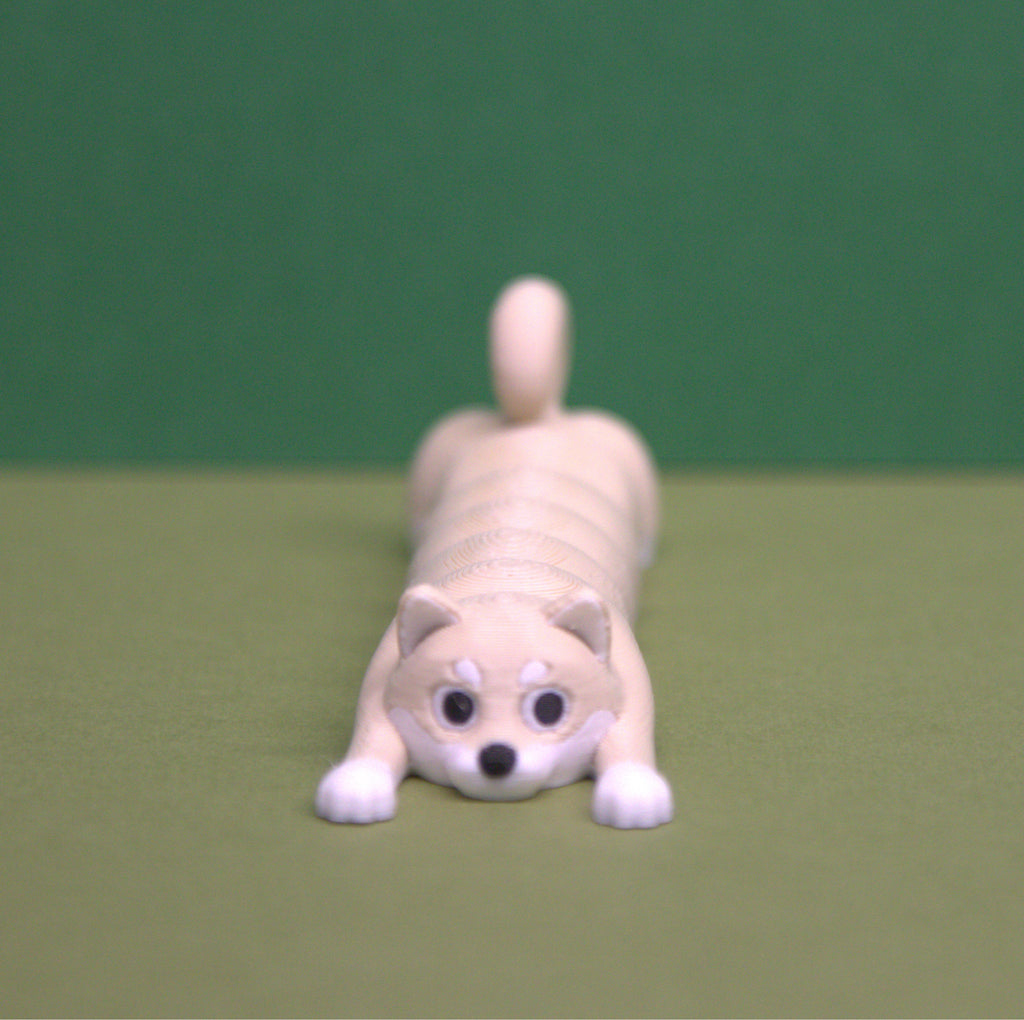 Shiba Inu - Long
