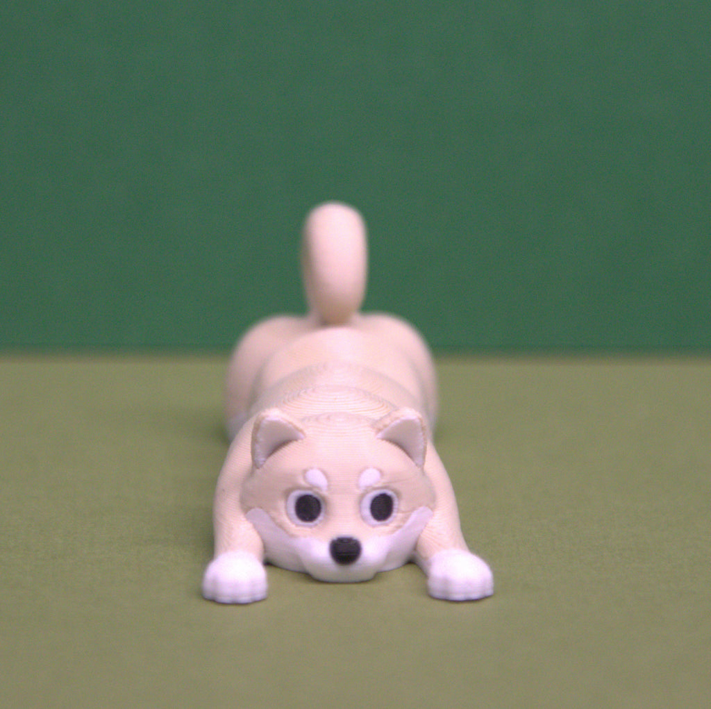 Shiba Inu - Short