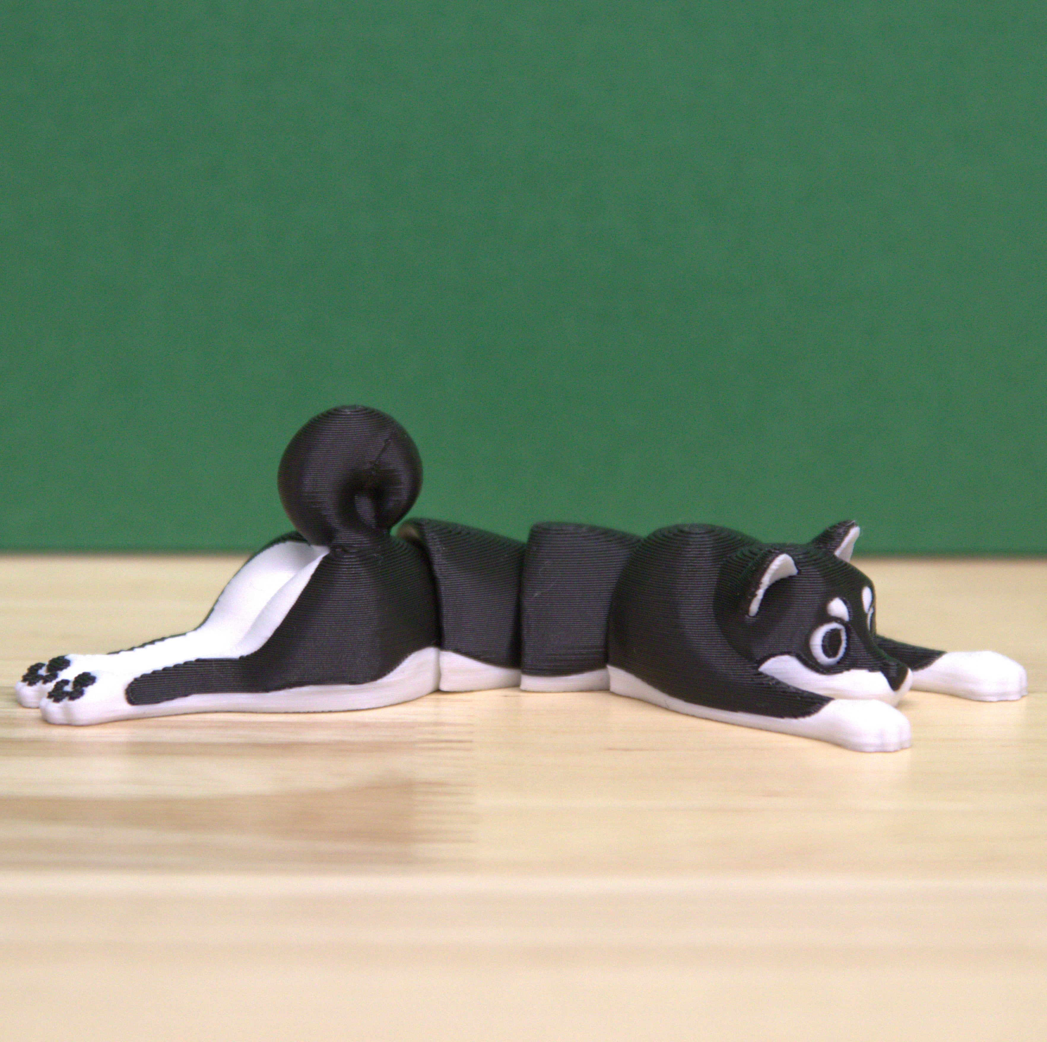 Shiba Inu - Short