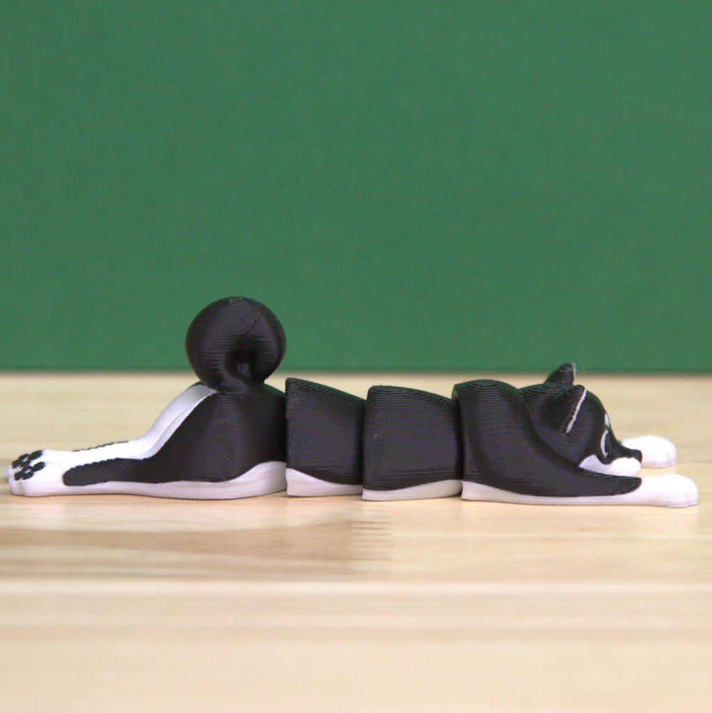 Shiba Inu - Short