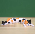 Long Bois