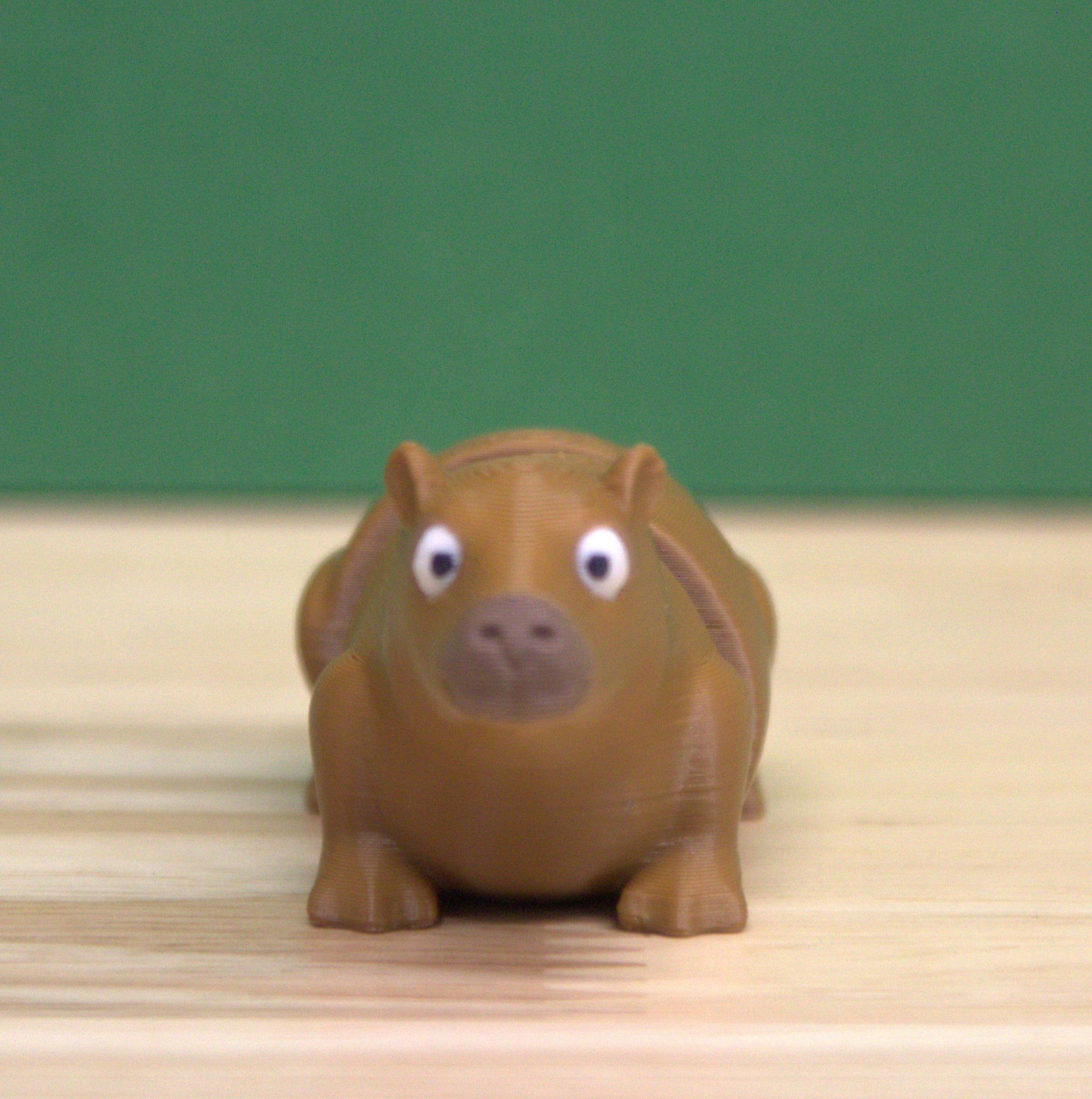 Capybara